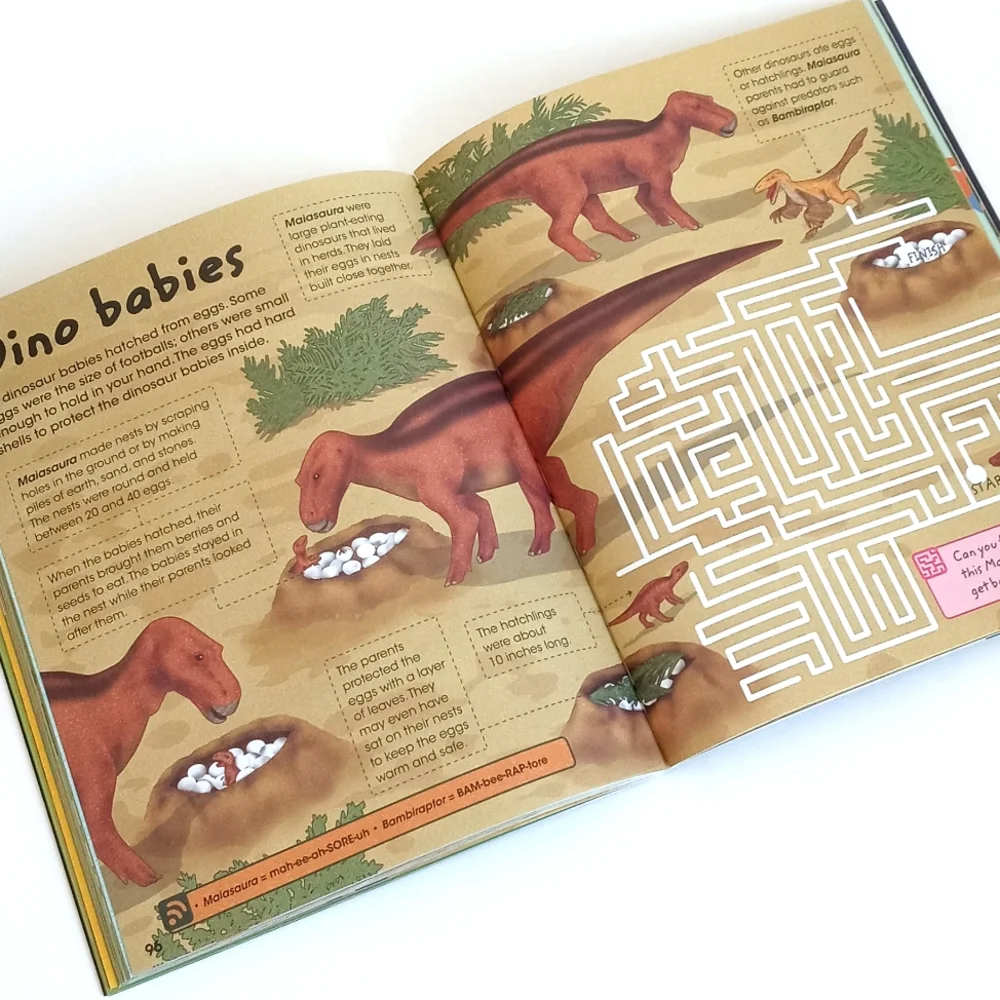 Travel Back Through Time To The Land Of Dinosaurs Discovery Kids Activity Book
